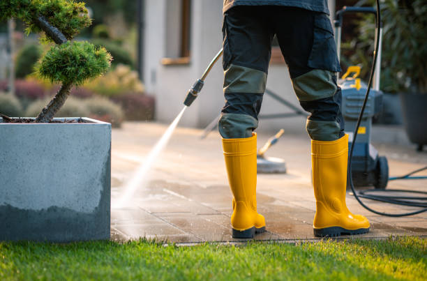 Best Best Pressure Washing Companies  in Frazier Park, CA